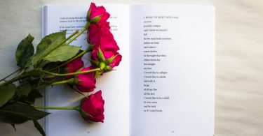 roses sur un livre
