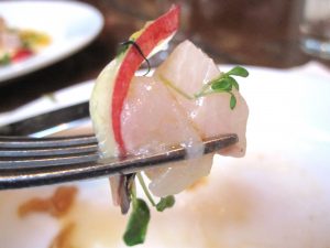 ceviche-fish-food-perou-gastronomy-fork