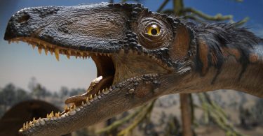 Musée Blau Barcelone