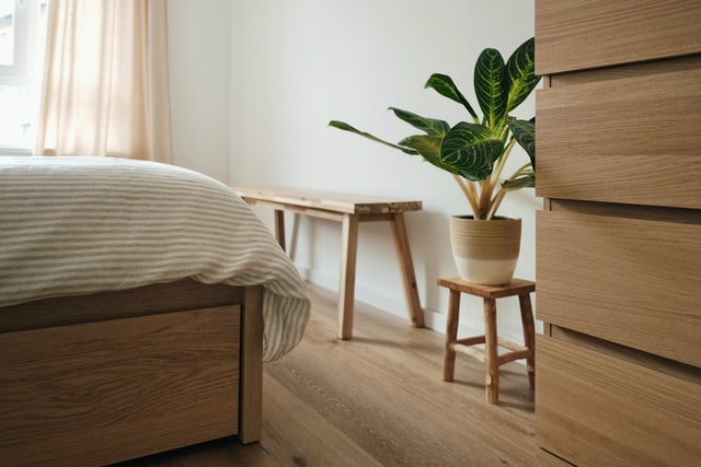 appartement chambre plante bois clair