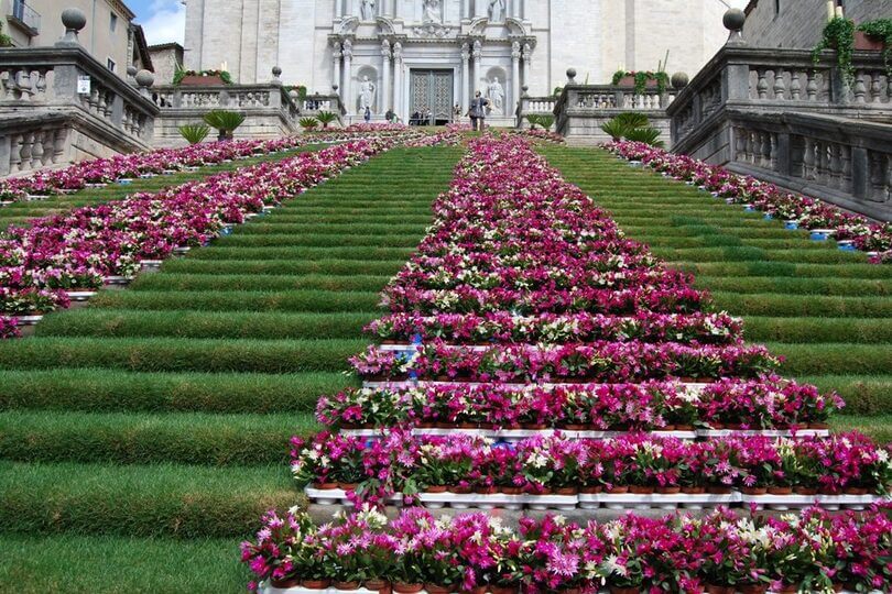 Cathédrale de Santa María ornée de fleurs
